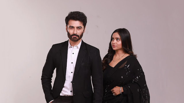 RavieDubeyandSargunMehtasHaaleDil